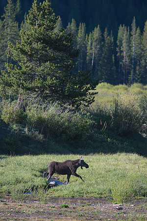 2020_06_12_untitled shoot_00107-2