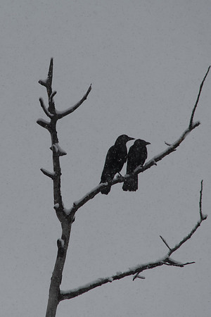 2021_05_10_untitled shoot_01698