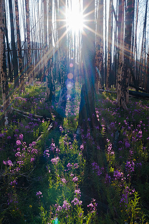 2020_08_03_untitled shoot_00220