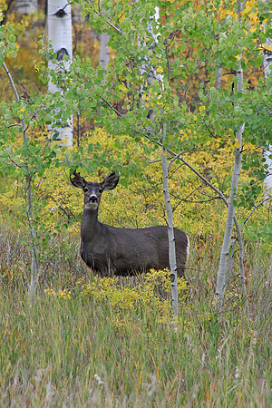 2021_09_28_untitled shoot_00212
