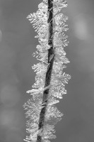 2018_11_27_untitled shoot_00801