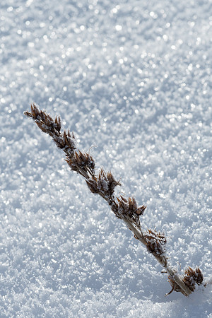 2019_01_14_untitled shoot_00022