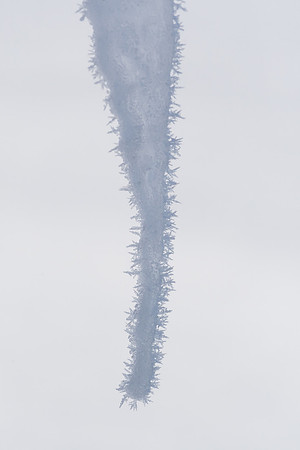 2019_01_14_untitled shoot_00286