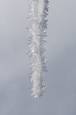 2019_01_14_untitled shoot_00311