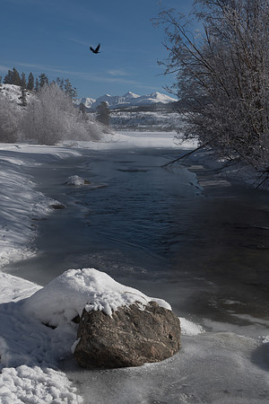 2019_01_14_untitled shoot_00421