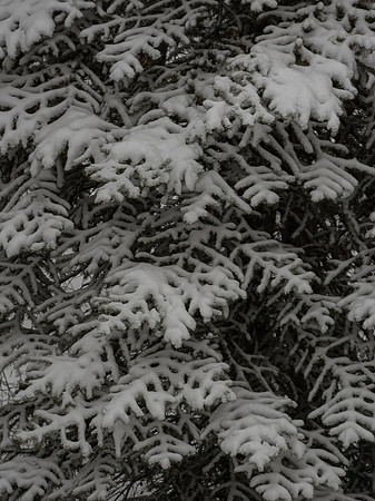 2020_02_03_untitled shoot_00206