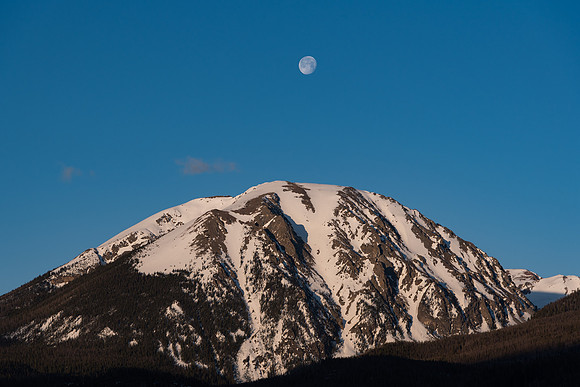 Buffalo Moon