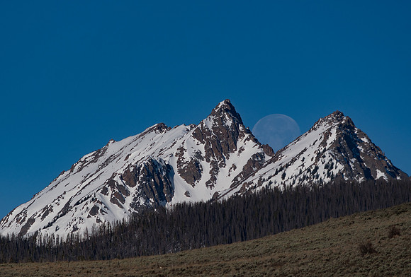 Peak a Boo Moon