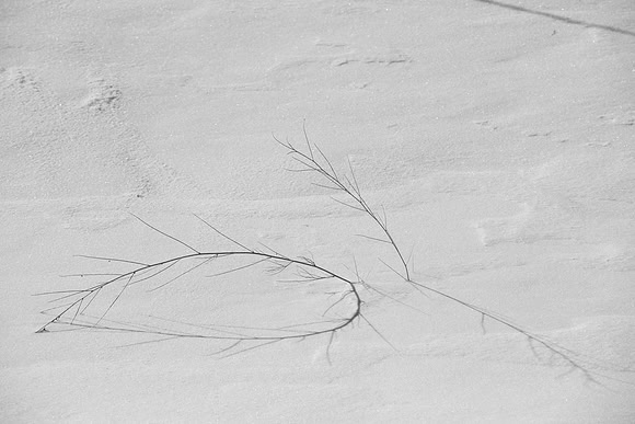 2021_02_08_untitled shoot_00343