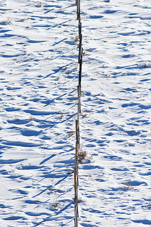 2021_02_08_untitled shoot_00606