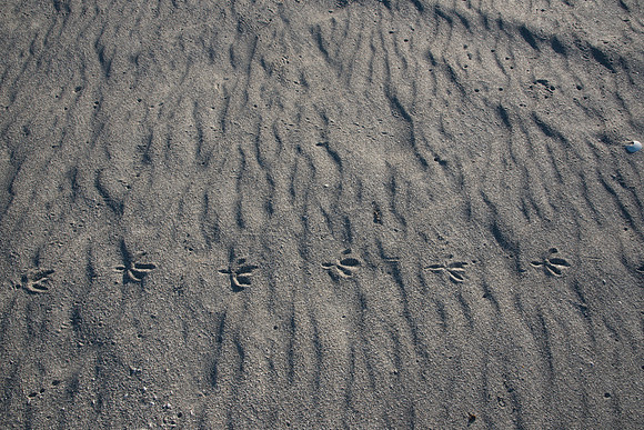 2021_04_27_untitled shoot_01266