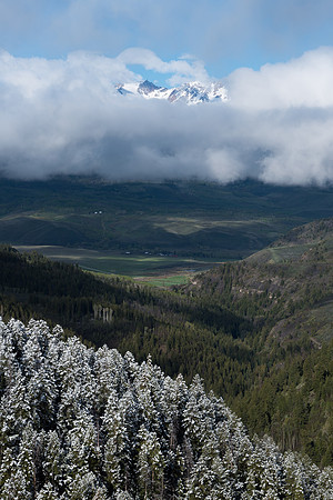 Early Spring snow #2