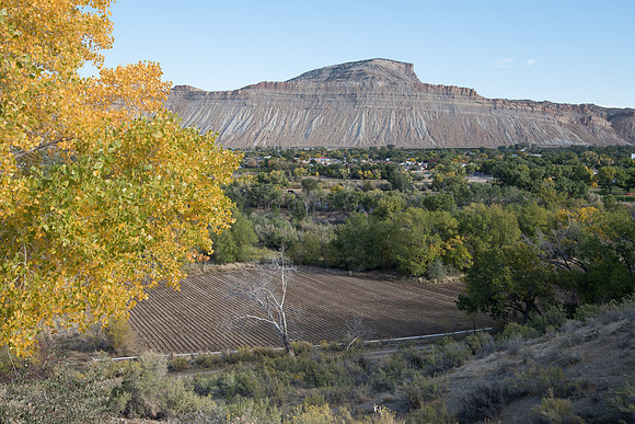 Palisade Riverbottom