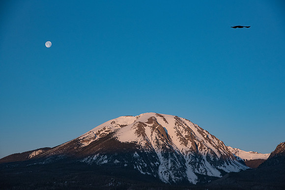 Buffalo Mountain Raven Moon