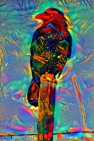 Red Raven