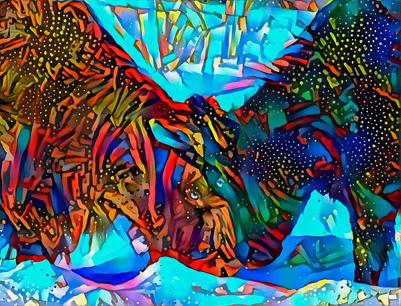 Head to Head