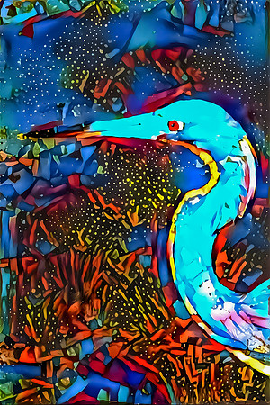 Tricolored Heron