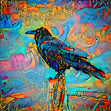 Raven Looking