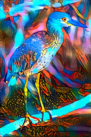 Green Heron