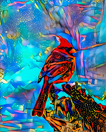 Cardinal