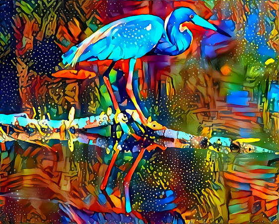 Fishing Heron